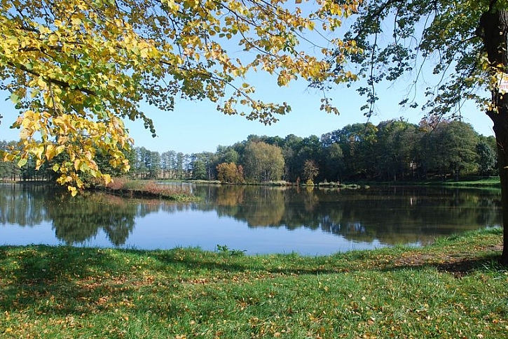 Lihovarský rybník