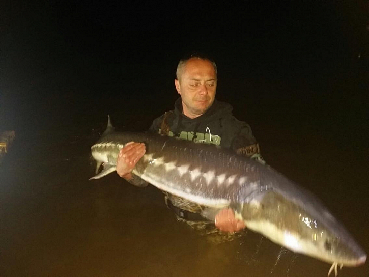 Jeseter 187 cm, 42 kg. Přišel v noci, obrovská ryba, přál bych každému rybářovi ten souboj :)