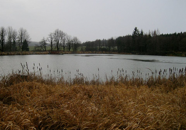 Nový rybník Čáslavice