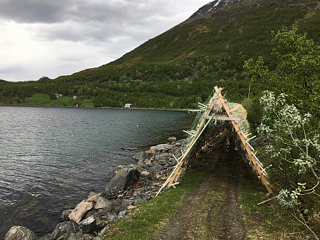 Sušárny ryb v Norsku, Bergsfjord. Loppa.