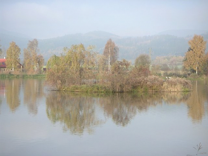 Kfelský rybník